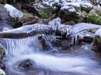 Neuer Blickwinkel auf zwischen Felsen am Bach eingeklemmtes Aststück überzogen von Eispanzer